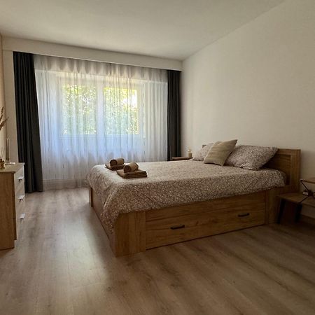 Lareina Apartament Κλουζ-Ναπόκα Εξωτερικό φωτογραφία