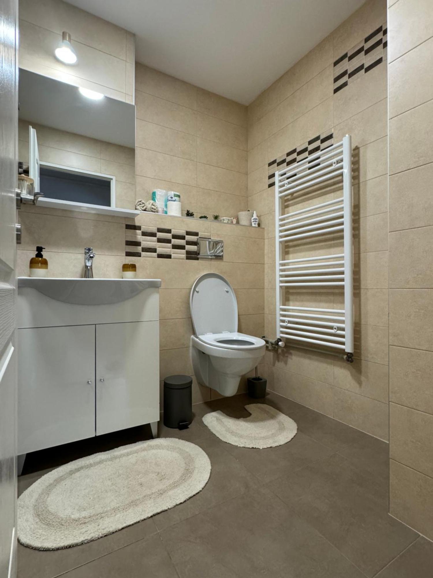 Lareina Apartament Κλουζ-Ναπόκα Εξωτερικό φωτογραφία
